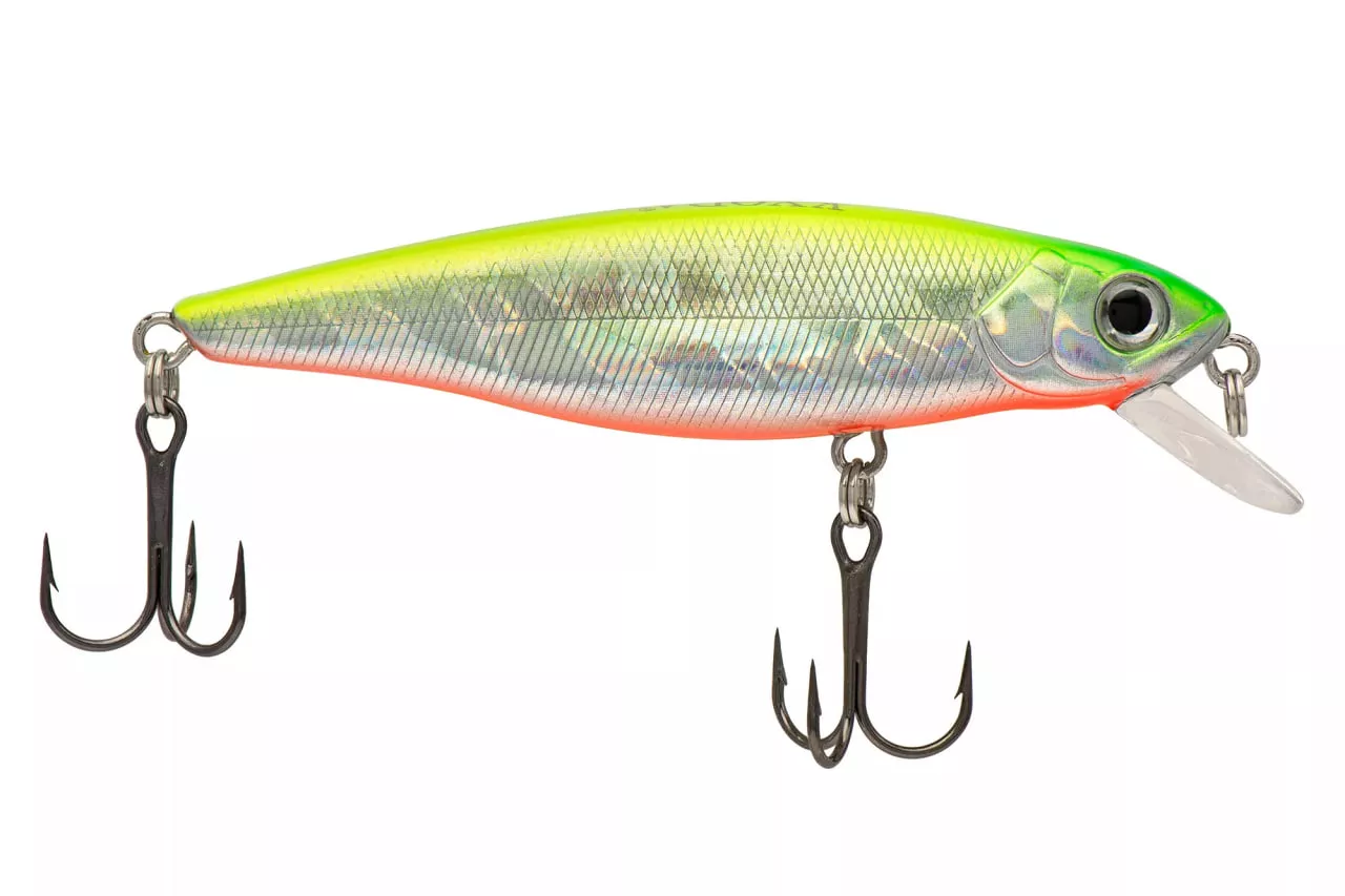 GLOBEFISH Minnow
